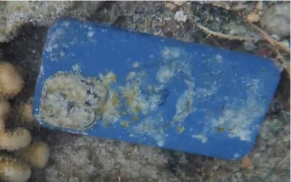 شاهد بالفيديو... هاتف آيفون لا يزال يعمل بكفاءة بعد فقدانه في قاع المحيط