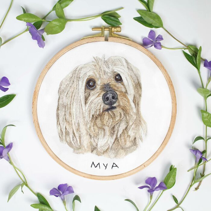 تطريز فلسطيني,تطريز يدوي,رسومات تطريز,تطريز على القماش,تطريز بسيط,تطريز فلسطيني بسيط,محل تطريز,تطريز ترجمة,حيوانات أليفة للمنزل,حيوانات أليفة للاطفال