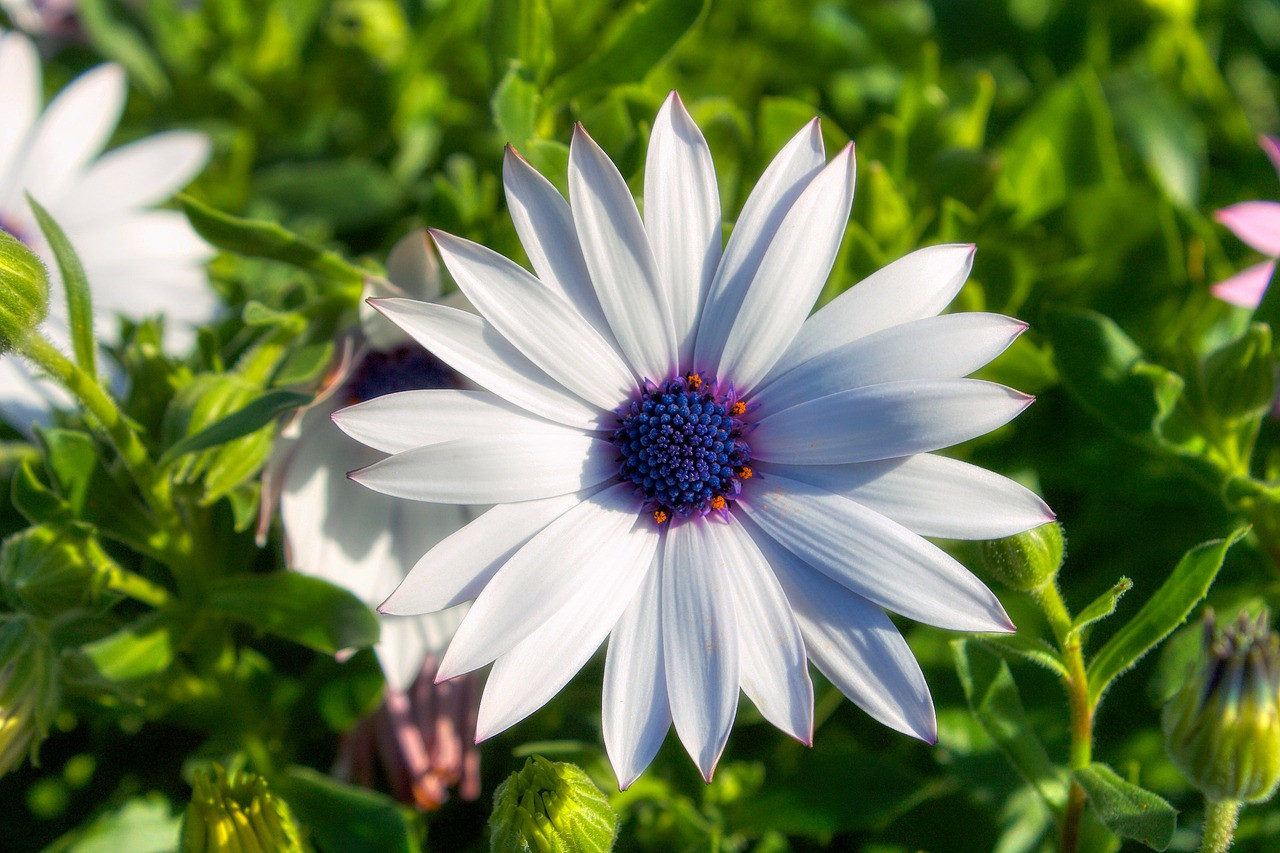 خلفيات بنات للموبايل,خلفيات بنات حقيقية,خلفيات بنات كبار,خلفيات بنات رقيقة,خلفيات بنات فخمة سوداء,خلفيات بنات محجبات,خلفيات بنات حلوة للواتس,خلفيات بنات فخمة,خلفيات للبنات تجنن,خلفيات بنات كيوت حقيقية