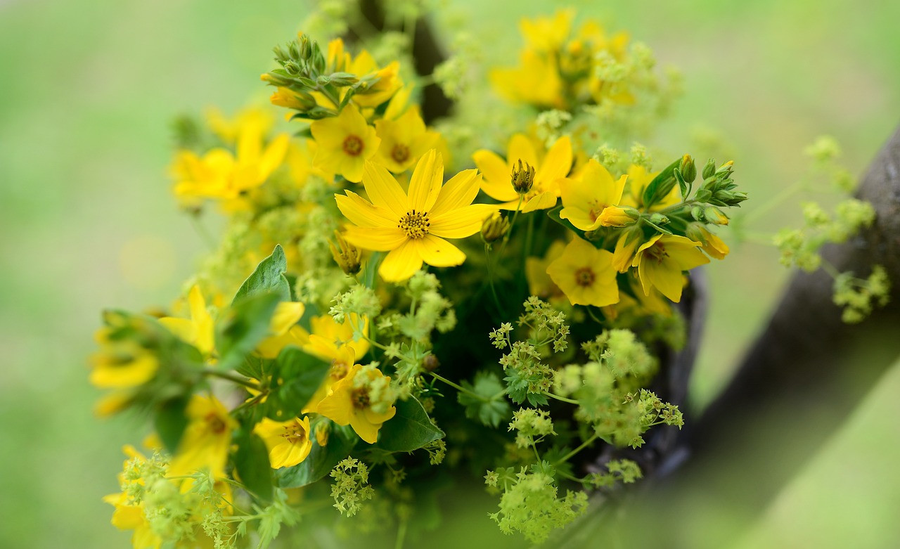 خلفيات بنات للموبايل,خلفيات بنات حقيقية,خلفيات بنات كبار,خلفيات بنات رقيقة,خلفيات بنات فخمة سوداء,خلفيات بنات محجبات,خلفيات بنات حلوة للواتس,خلفيات بنات فخمة,خلفيات للبنات تجنن,خلفيات بنات كيوت حقيقية